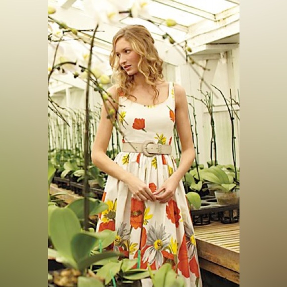 ✨ Rare Anthro Moulinette Soeurs "Homegrown Poppies" Dress - Size 0